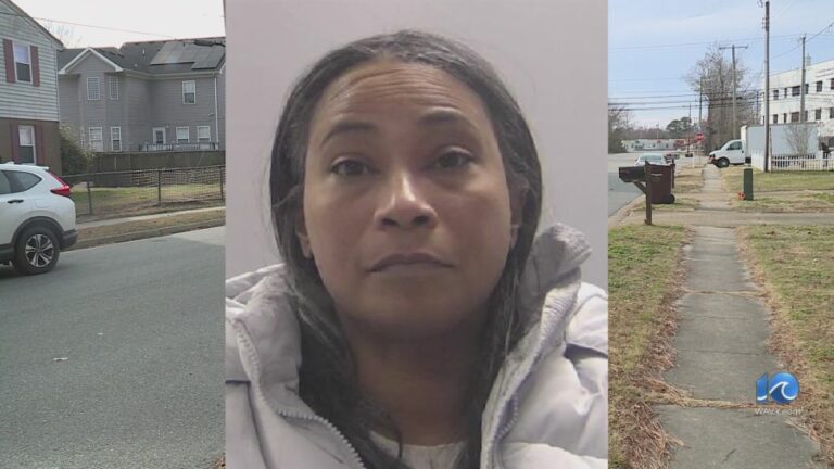 Женщина арестована после инцидента с жестокостью к животным с участием французского бульдога в Чесапике