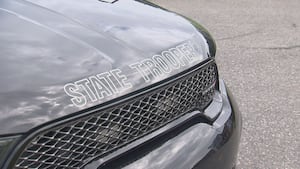 Женщина погибла после падения на дерево в округе Александр