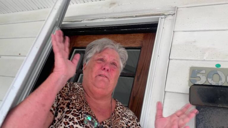 Женщина попала в тюрьму за «широко распространенную, наглую» кражу из детской программы