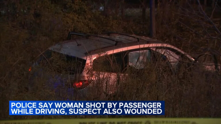 Женщина, застреленная пассажиром во время вождения в Брайтон-парке, полиция Чикаго