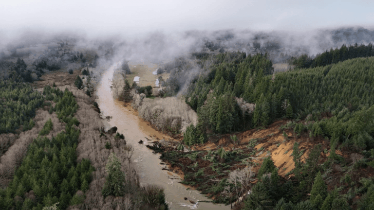 «Чистое опустошение» ОР 229 вытесняет жителей, поскольку чиновники оценивают ущерб