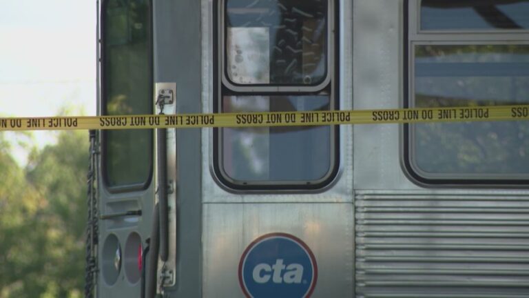 Женщина, смертельно раненная поездом CTA Blue Line на площади Логана