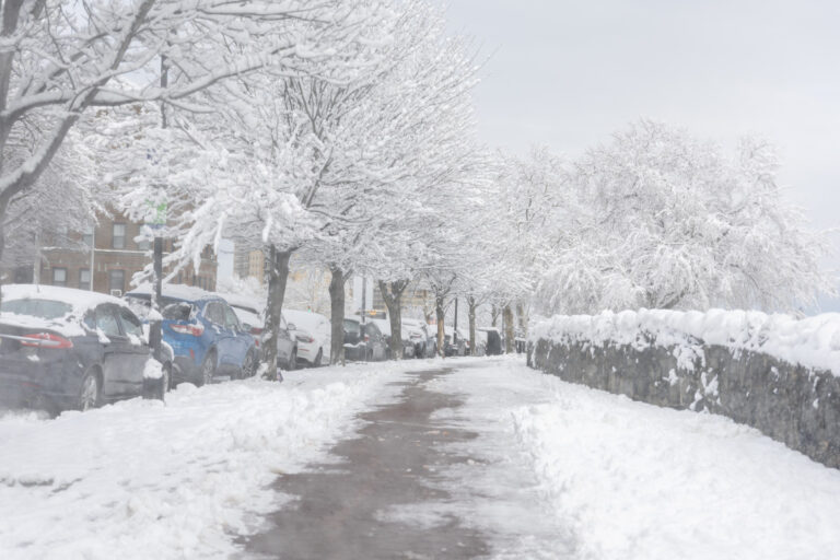 Карта предупреждения о зимнем шторме показывает, что прогноз погоды на хлыстовой волне объявлен для 46 штатов