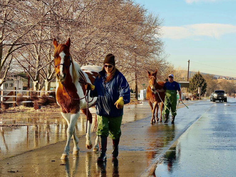 Худшее за последние 30 лет наводнение Ван Гизена под водой, закрыто в Ричленде