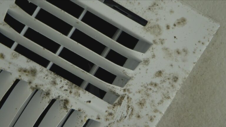 «Я все время беспокоюсь»: домовладелец Закари говорит, что строительные практики Д.Р. Хортона привели к неконтролируемой плесени