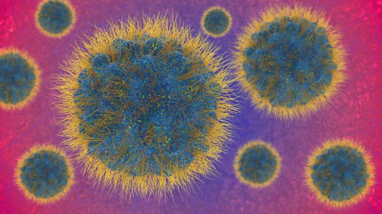 Почему новые случаи mpox в Калифорнии вызывают беспокойство