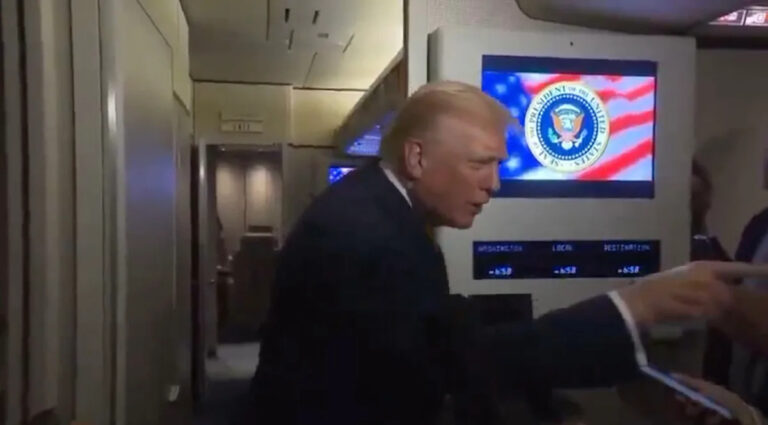 Кто такой «Пегги»? MAGA World Goes Hog Wild пытается раскрутить «Пигги» Трампа