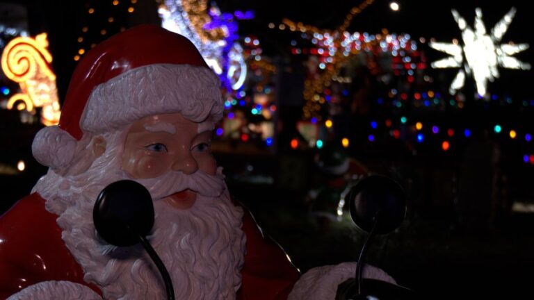 Зимний световой фестиваль приветствует военных и спасателей