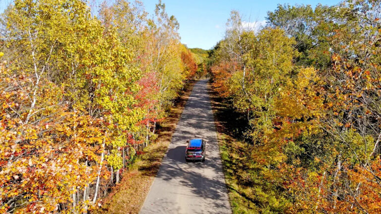 Кто крупнейшие землевладельцы Алабамы? Этот частный землевладелец владеет 600 000 акров земли.
