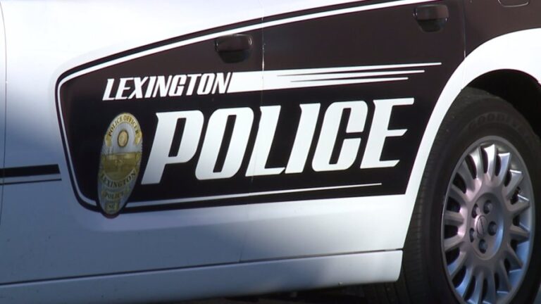 Женщина обвиняется в погоне за угнанным автомобилем в Лексингтоне