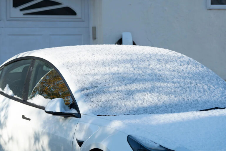 С окончанием «Альманаха фермеров» посмотрите последний зимний прогноз NJ