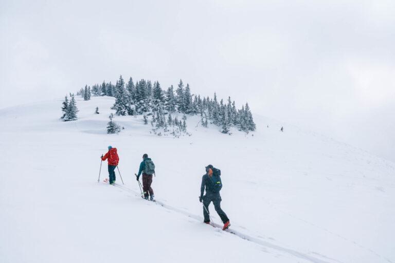 Зимний шторм: до 24 дюймов снега, опасные условия