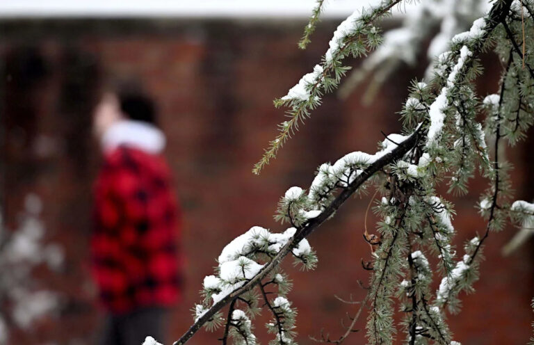 В Государственном колледже могут наблюдаться холодные температуры, первый снег в сезоне