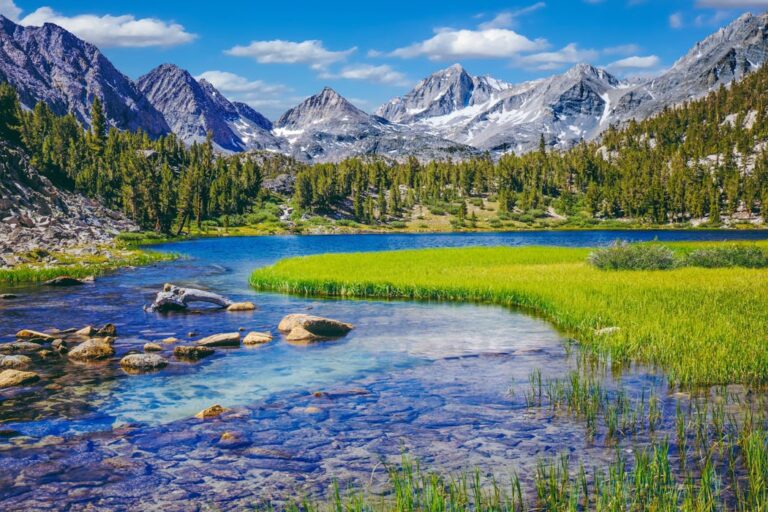 Где процветают дикие вещи: поиск и защита безопасных гаваней природы