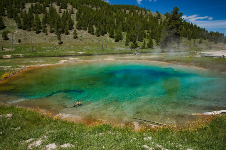 Туристу из Йеллоустоуна грозит тюремное заключение и запрет на парковку после уничтожения важного ресурса