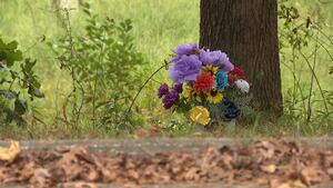 Женщина замучена собаками, а офицер, посланный на помощь, уволен.