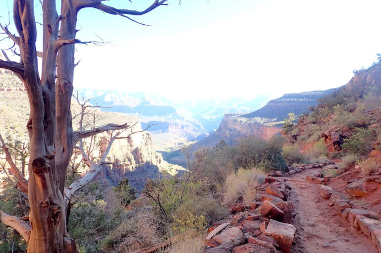 YouTuber под огнем после того, как поделился гневным видео из Гранд-Каньона: «Я болен