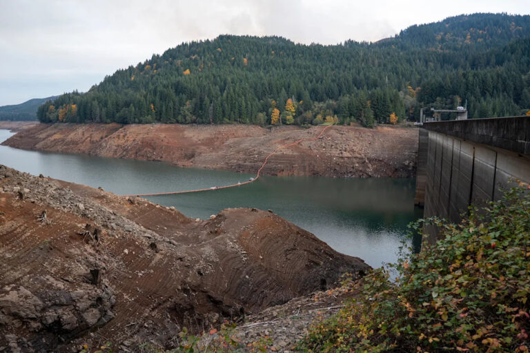 3-й год сокращения «Зеленого Питера» стал «лучше» для «Сладкого дома» в Ливане