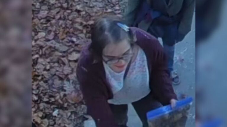 Висконсинская женщина осуждена за колотые ранения, пойманные в Иллинойсе