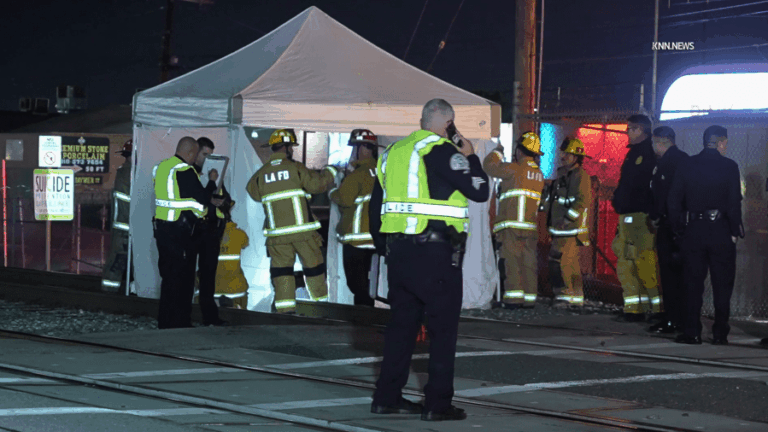 Женщина, лежащая на рельсах, сбита и убита поездом в долине Сан-Фернандо