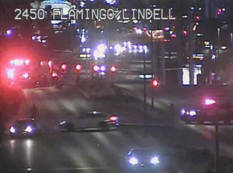 Женщина сообщила о невесте в полицию Лас-Вегаса после смертельной аварии