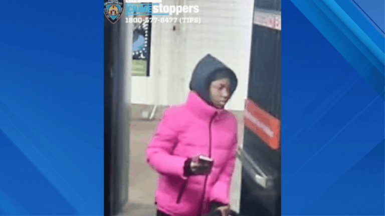 Женщина якобы душит 13-летнюю девочку в поезде метро: полиция Нью-Йорка