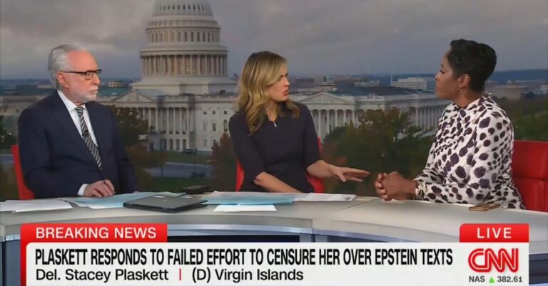 «Он был известным сексуальным преступником»: законодатель-демократ от CNN Памела Браун Грилс из-за ее текстов с Джеффри Эпштейном