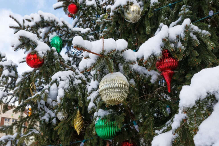 В этом году в Иллинойсе будет белое Рождество?