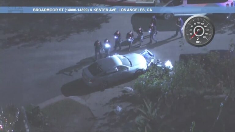 Женщина, задержанная после погони полиции в Лос-Анджелесе.
