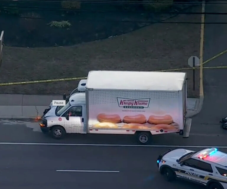 23-летняя женщина погибла в результате столкновения с грузовиком на шоссе 73