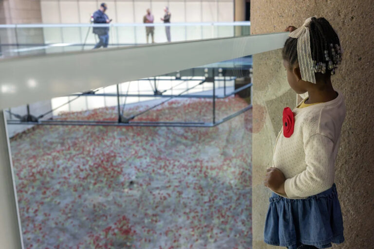 Почему люди делали маки на праздновании Дня ветеранов в Музее Первой мировой войны?