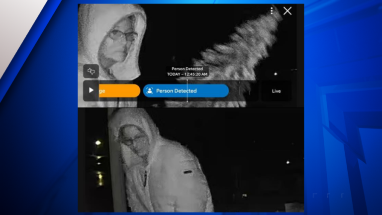 «Гринч» попался на камеру, украв рождественские украшения округа Нельсон