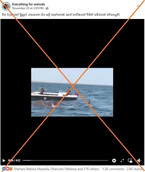 Многолетний спасательный материал ВМС Шри-Ланки вводит в заблуждение в Интернете