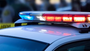 Женщина, убитая упавшим деревом на SR 410 возле Энумклава, найдена