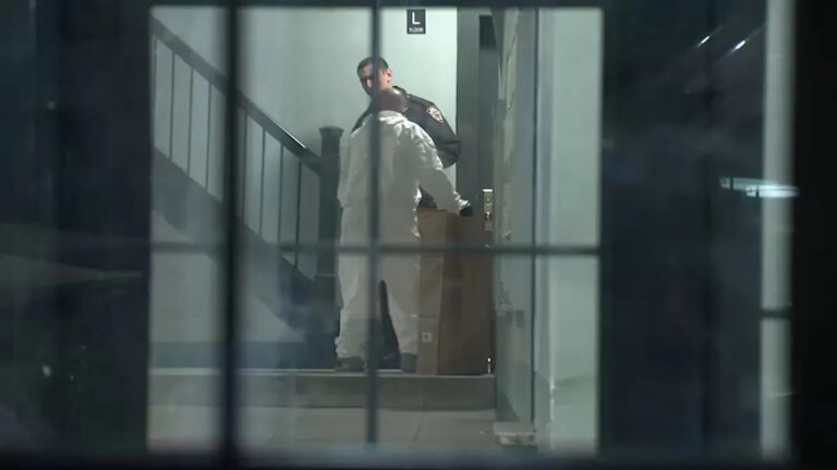 Женщина была найдена застреленной в здании Гарлема, сообщает полиция