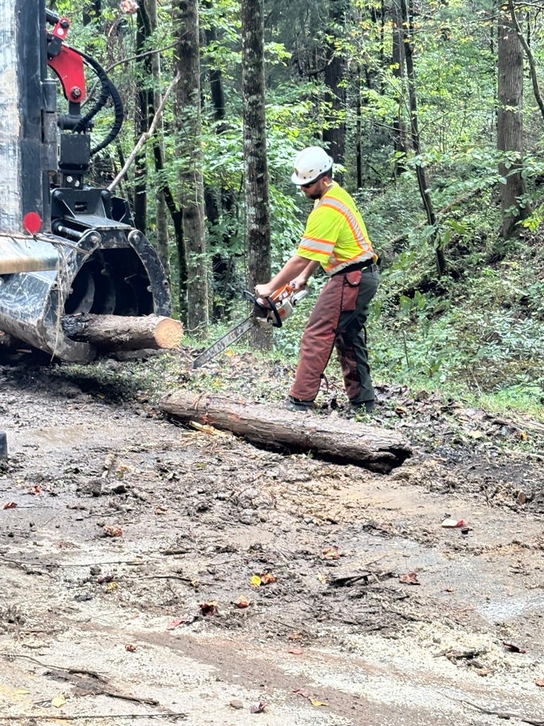 Почему Гатлинбургский обход до сих пор закрыт в национальном парке Грейт Смоки Маунтинс?