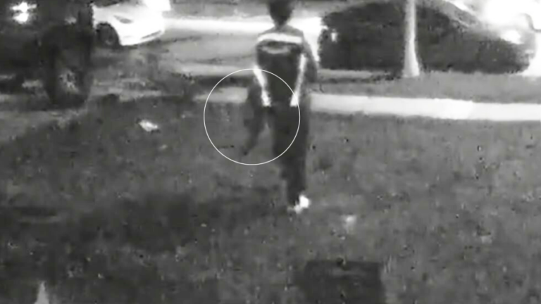 Amazon запретила водителю, обвиняемому в краже кошки в Калифорнии