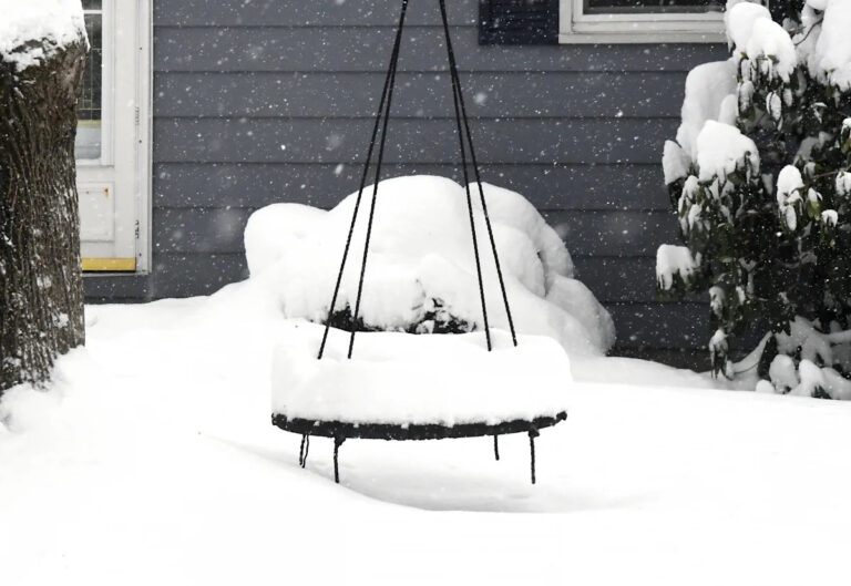 Кто больше всех выпал снега? Посмотрите, сколько выпало вокруг Эри, графства Кроуфорд