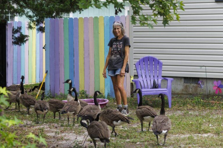 Почему Surfside Beach «гоус шепчет» и «гус человек» враждуют на видео?