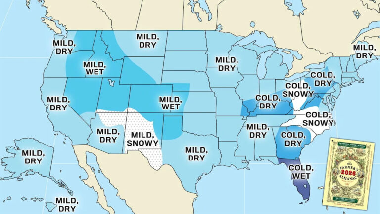Будет ли снег в Алабаме этой зимой? Старый фермерский альманах предсказывает холодный сезон