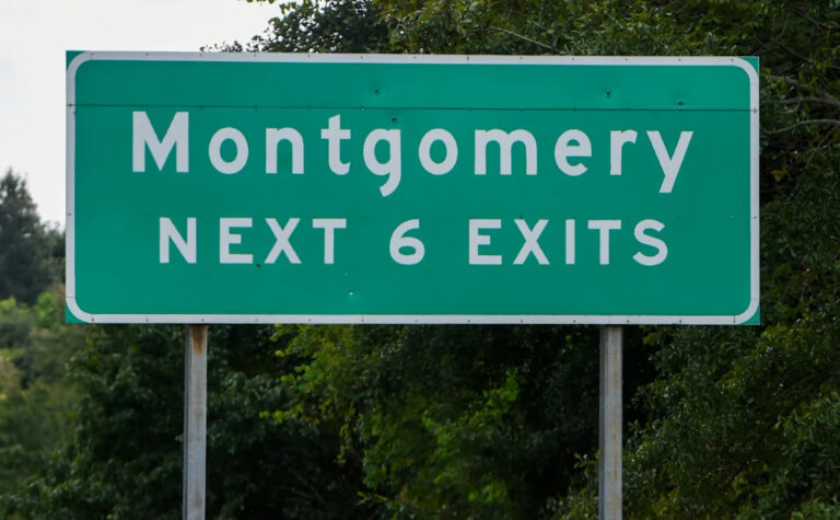 Где Монтгомери занимает место в переписи населения 2024 года?