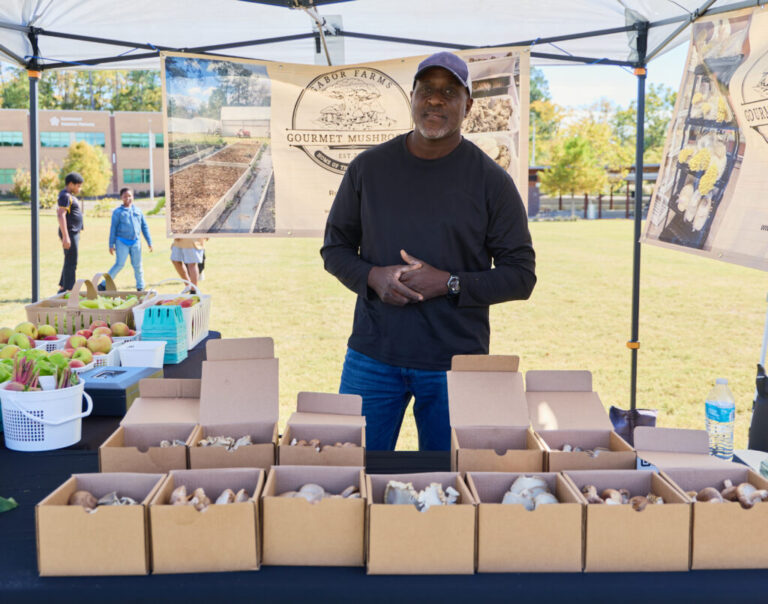 Политики перетасовываются, колода рестаксов, игры идут