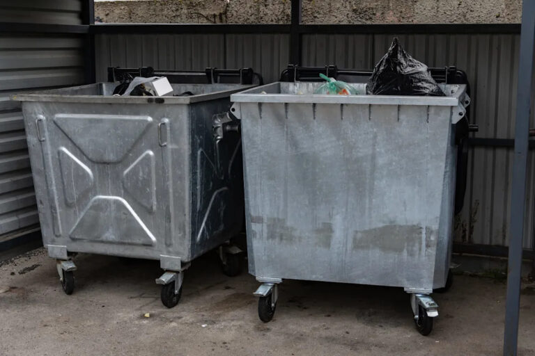 Дампстер-дайвер делится фотографией потрясающего открытия внутри продуктового магазина мусора: «Посмотрите на все это»