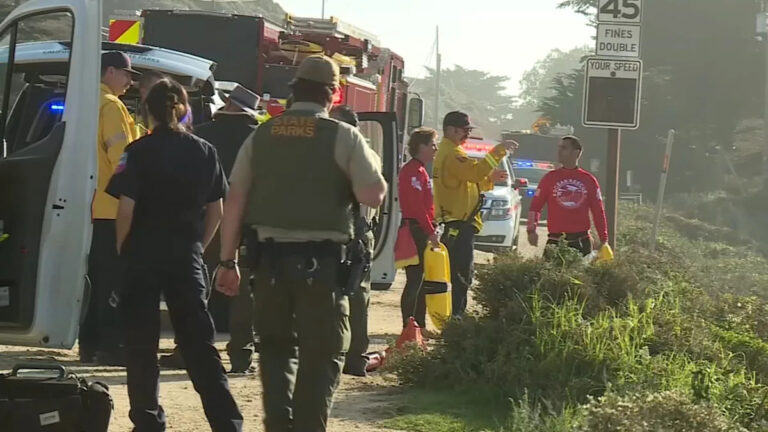 Тело пропавшей 7-летней девочки, занесенной в океан на пляже Биг-Сур, выброшено на берег, заявил шериф.