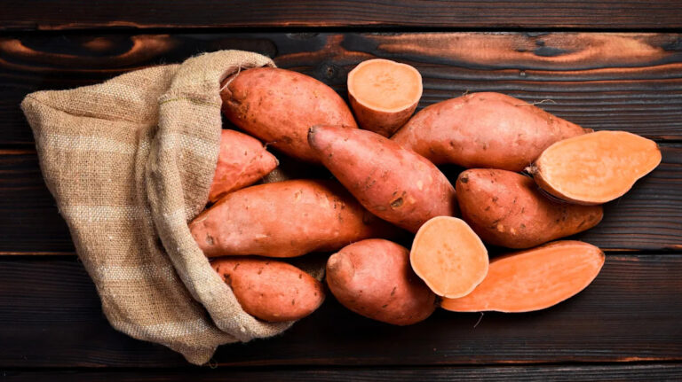 Неожиданное государство США производит более 60% нашего сладкого картофеля