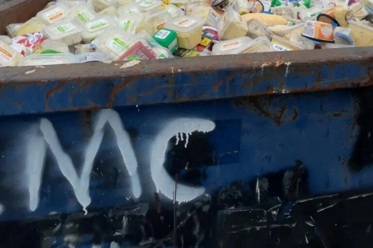 Сотрудник Walmart поделился фотографией шокирующей сцены за магазином: «Было еще что-то, что не подходило бы»