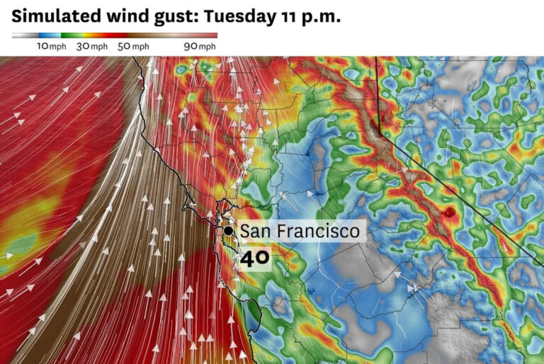 Погода в районе залива: Вот график, когда дождь, ветер будут сильными