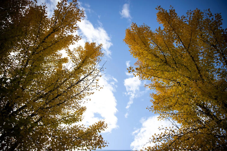 Пахнет как дерьмо снаружи. Некоторые возможные объяснения