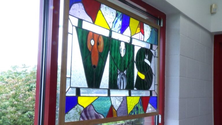 Гуманное общество Вандербурга начинает бесплатное усыновление на фоне переполненности