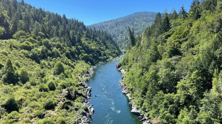 Спустя год после проекта «Кламат», ученые в восторге от возвращения природы.